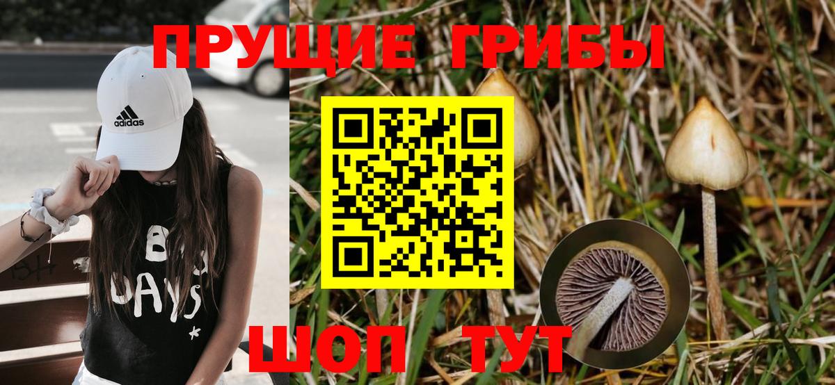 где найти наркотики  Галлюциногенные грибы Magic Shrooms  Вход с VPN  Жуковский 